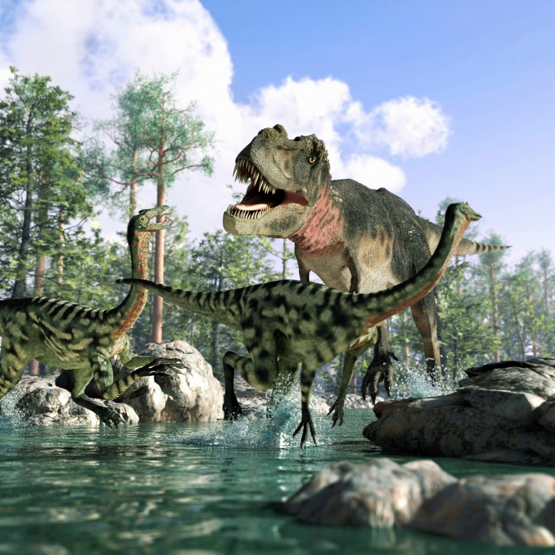 JUNIOR - Si le temps des dinosaures m'était conté