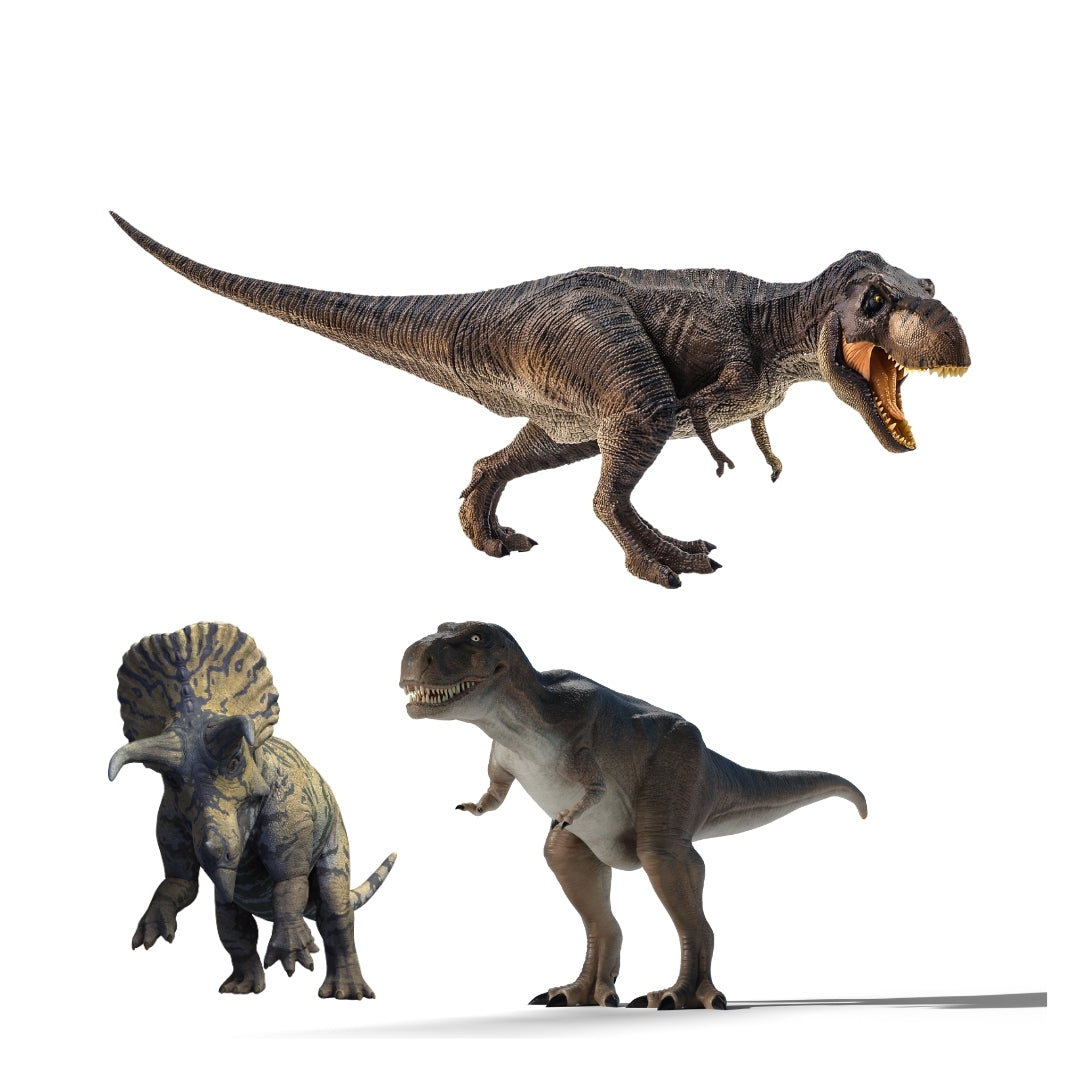 JUNIOR - Si le temps des dinosaures m'était conté